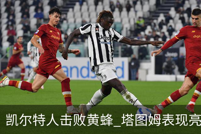 凯尔特人击败黄蜂 塔图姆表现亮眼